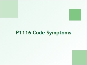 P1116 Code Symptoms and Causes